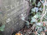 image of grave number 750359